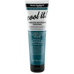 نرم کننده نعنا و آلوئه ورا آنت جکیز Aunt Jackies Aloe and Mint Cool It Conditioner