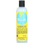 شامپو ترمیم کننده بلوبری کرلز Curls Blueberry Bliss Reparative Hair Wash