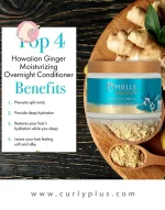 ماسک شب مرطوب کننده زنجبیل هاوایی مایلMielle Organics Moisture RX Hawaiian Ginger Moisturizing Overnight Conditioner - تصویر 2