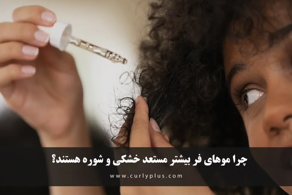 چرا موهای فر بیشتر مستعد خشکی و شوره هستند؟