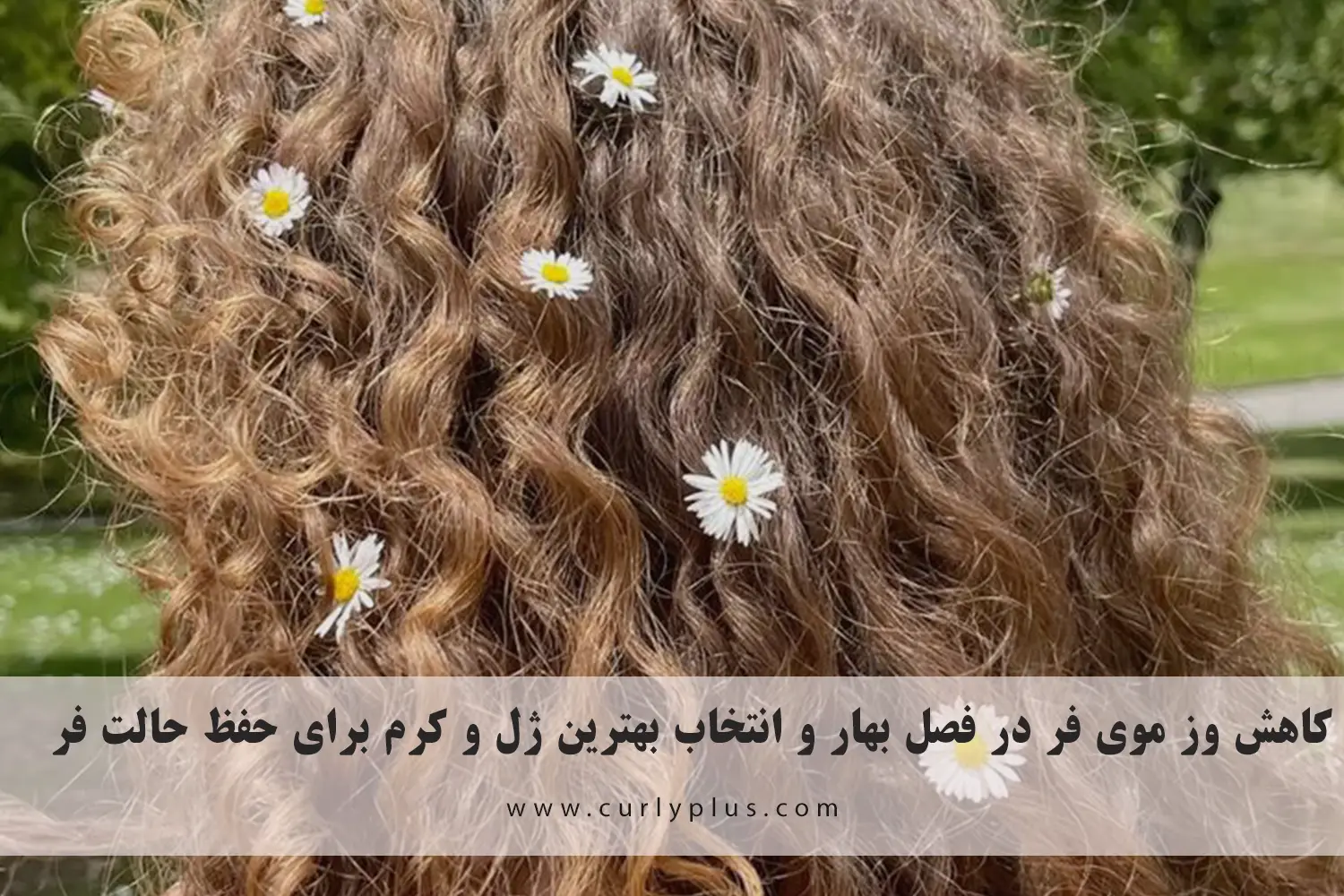 روتین بهاری موی فر: بهترین روش‌ها و ماسک‌های بهاری برای احیای موهای فر خشک و کم‌جان