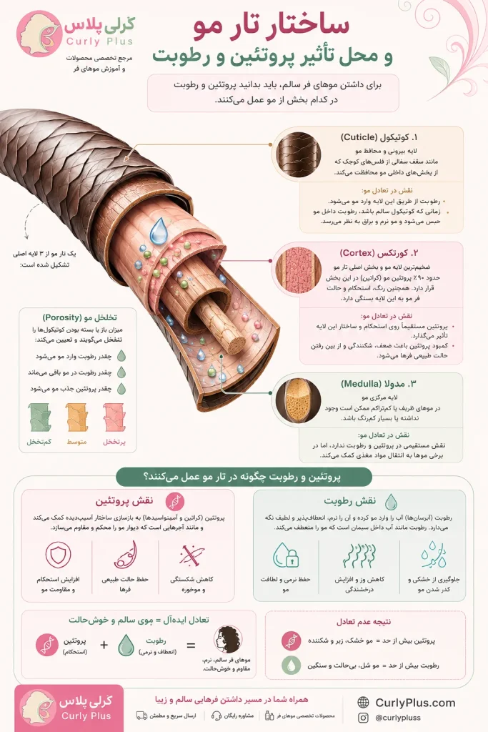 تعادل پروتئین و رطوبت در موهای فر